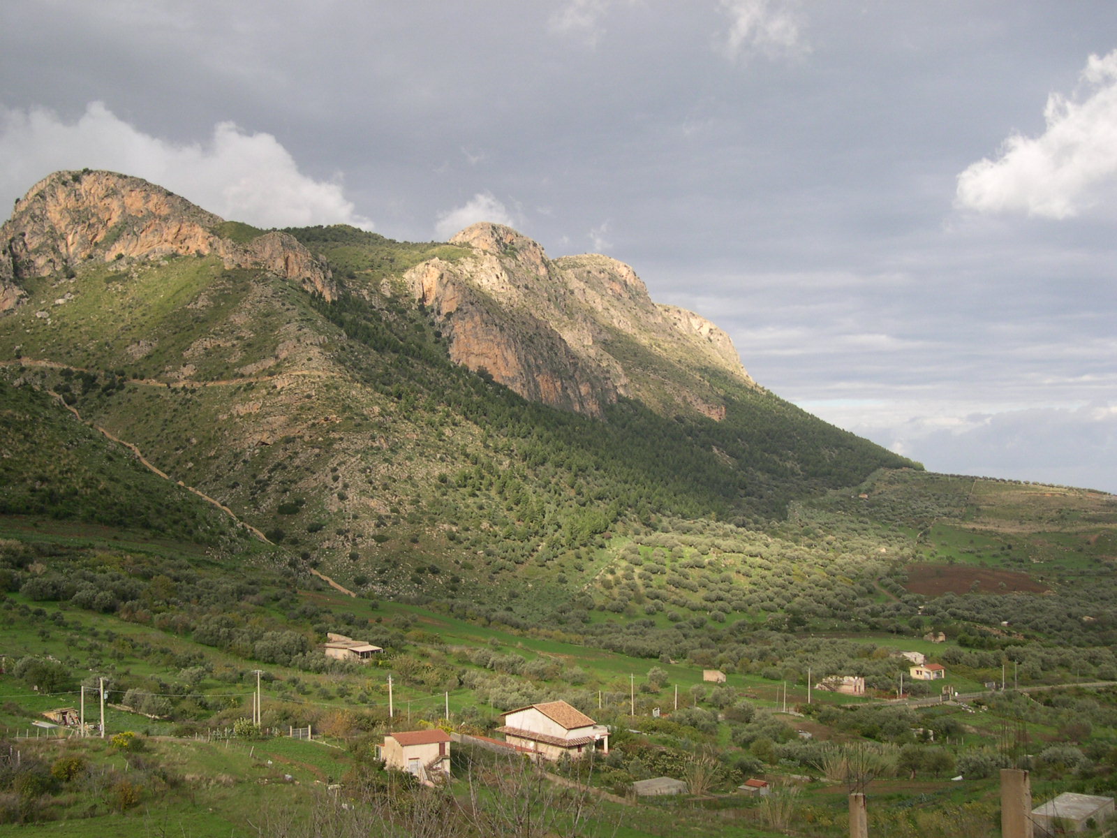 DSCN0063