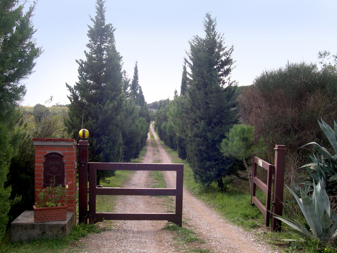 DSCN0300